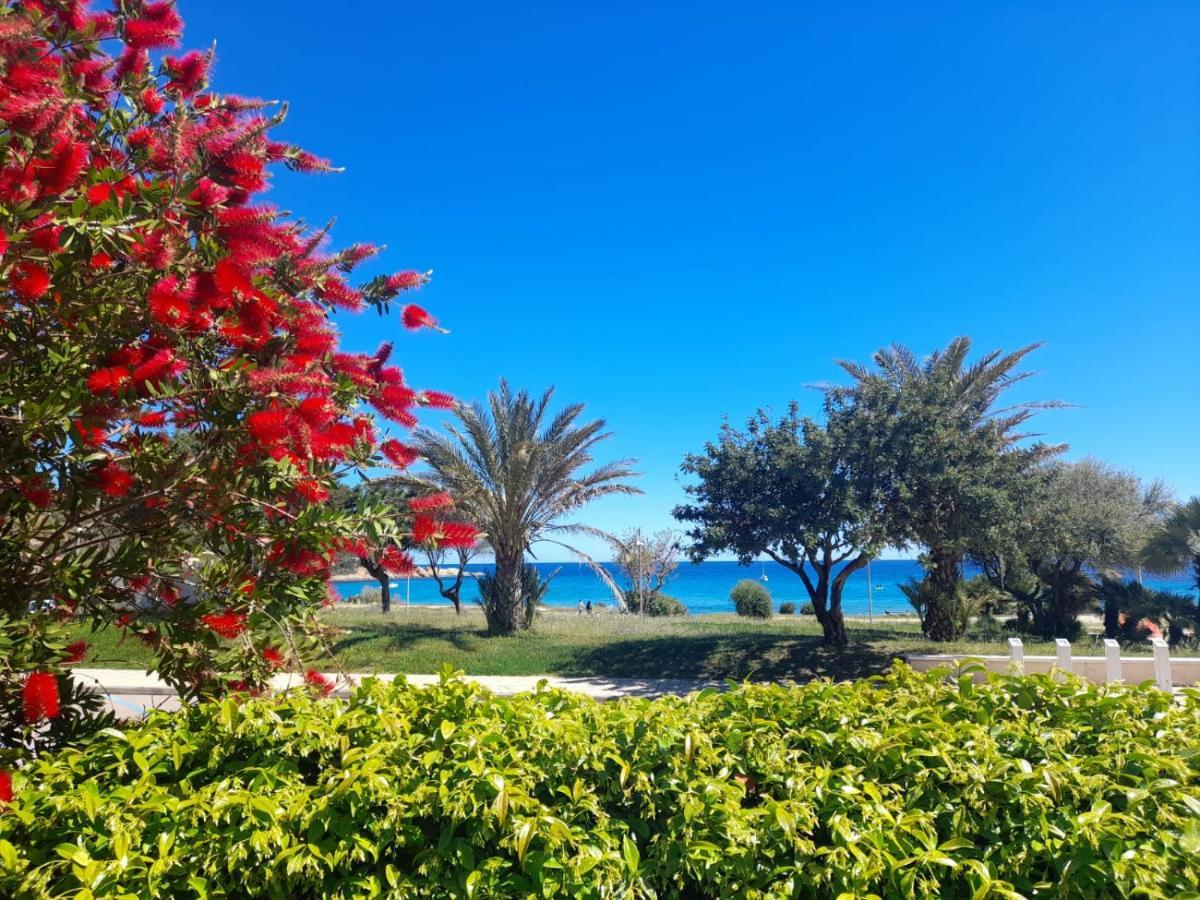 Villa Stella Fronte Mare Porto Frailis Àrbatax Exterior foto